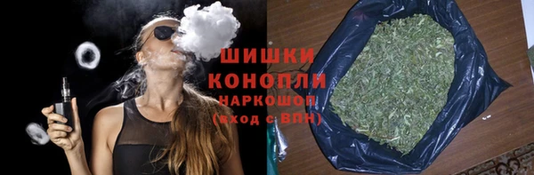 PSILOCYBIN Кулебаки