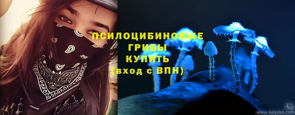 дживик Лагань