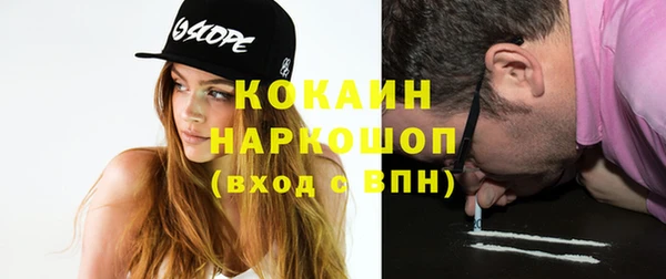 винт Лабытнанги