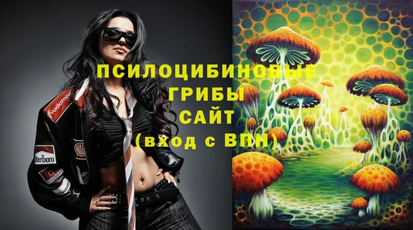 дживик Лагань