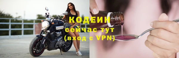 дживик Лагань