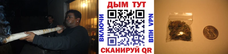 Канабис AK-47  Купить закладки  Рудня 